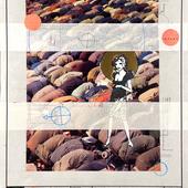 Img-5515
