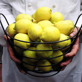 Lemons-3